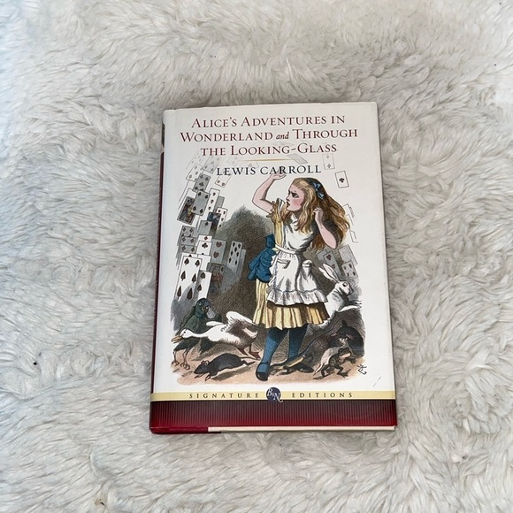 Through the looking glass by Lewis Carol great book bought at barns and nobles - Picture 1 of 8